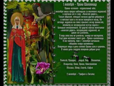 1 октября - Арина Шиповница, Народный календарь