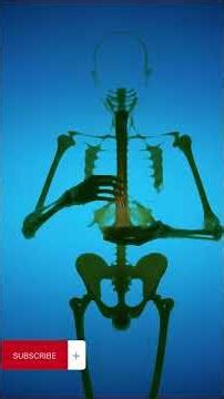 The Digestive Lens“What Happens Inside Your Body When You Eat Noodles 🍜”#Noodles #3DAnatomy