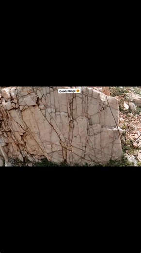 𝐐𝐔𝐀𝐑𝐓𝐙 𝐑𝐈𝐃𝐆𝐄 😍⚒️❤ 𝐑𝐚𝐣𝐚𝐬𝐭𝐡𝐚𝐧, 𝐈𝐧𝐝𝐢𝐚 🇮🇳 𝐃𝐄𝐒𝐂𝐑𝐈𝐏𝐓𝐈𝐎𝐍: ⬇️ This video shows a part of quartz ridge entirely composed of Silica (SiO2). The mass is due to prevailing stress and strain conditions in the geological past shows dipping and at least two sets of joints. 📷:© Arpit Sahu #rock #geology #quartz #igneous | Scintillating Beauty