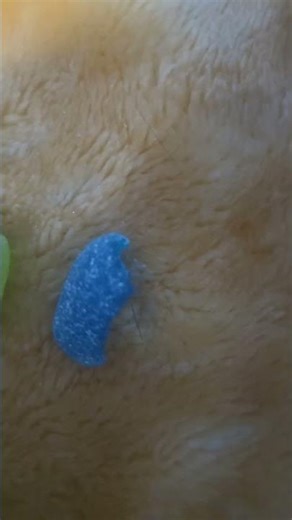 #funny #halloween #food Annoying Victor Mascot