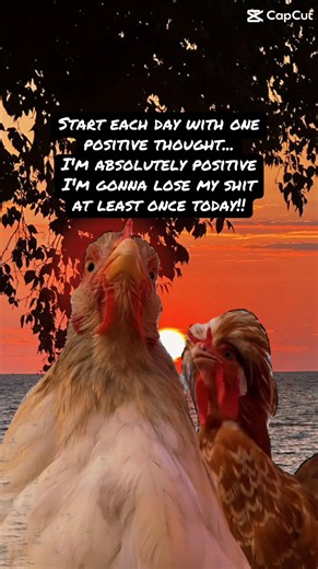 Monday Vibes: A Positive Thought I'm Gonna Lose My Shit Today