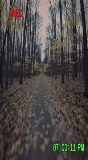 Remote Forest Trail: Cryptid Entity Caught on Hiker Cam at 7:00 PM