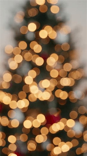 Effects On Red Background Videos: 4K and HD Video Clips