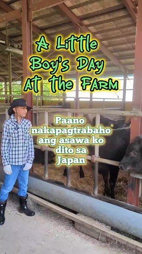 Join Gabby as he explores his Dad's work in a cow farm. As a dependent visa holder, mu husband is only allowed to work 28 hours a day! But then, that's still a great blessing to be grateful for! #japan #japanlife #ofw #ofwlife #wheninjapan #pinoyfaminjapan #studentinjapan #farmlife #farm #cow #littleboy #cowboy | Pinoy Fam Japan to NewZealand