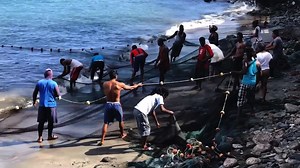 Challenges in the Global Fishing Industry | GIS Grenada