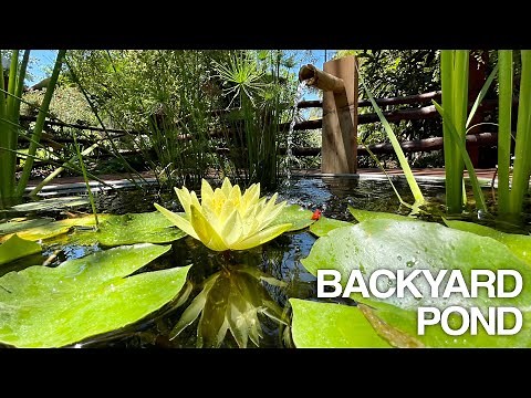 Stock Tank Pond and Fountain - DIY