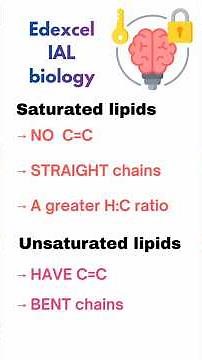 Saturated vs Unsaturated Lipids | Edexcel IAL Biology Revision