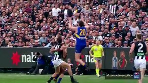 19 reactions · 13 comments | Witness heroes become immortals. Take your place in history at the 2019 Toyota AFL Grand Final. Book your package now | AFL | Facebook