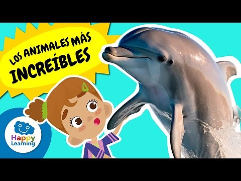 The Most Incredible Animals! | Educational Videos for Elementary School Children | @HappyLearningES