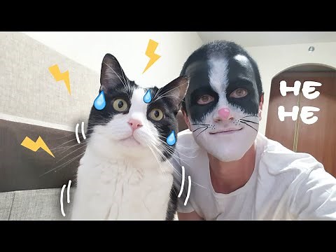 Cat vs Human - challenge without toilet paper. True Catective. Series 5