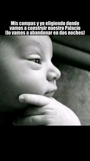 8.3K views · 167 reactions | Solo los verdaderos compas entenderán #minecraft #minecraftmemes #minecraftpe #humor | Minelord9000 | Facebook