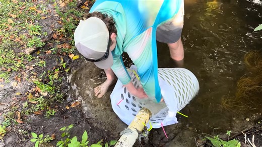 “We expected a few fish” not this many species