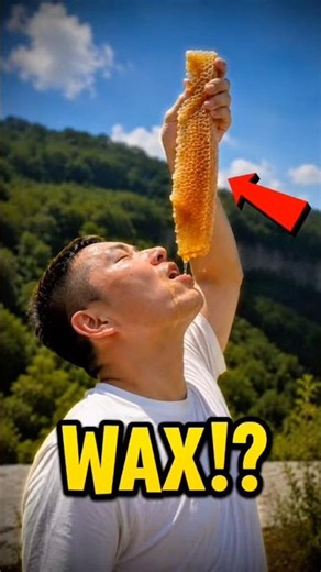 Never Eat To Much Honeycomb!