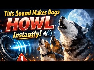 This Sound Makes Dogs HOWL Instantly 🔊🐶 | Try It Now!