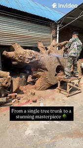 505K views · 1.2K reactions | From a single tree trunk to a breathtaking masterpiece  With only a chainsaw, precision, and patience, this artist carves solid wood into a majestic throne-like chair. 礪 Each stroke reveals the soul of the wood, turning raw nature into timeless art. Artist: oy9701 on Douyin #art #artist #carving #woodcarving #sculpture | Artists Universum | Facebook