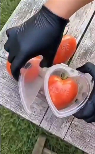Amezing vegetable shape...
