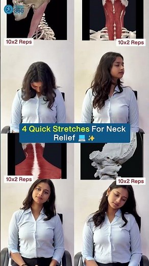 4 Quick Stretches for Neck Pain Relief | Daily Routine for Stiff Neck & Shoulder Tension