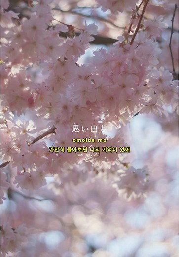 春を感じる「Sakura」歌詞動画