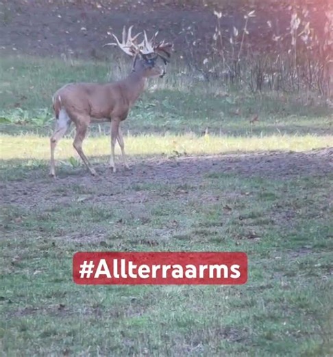 Allterra Arms .308 perfection