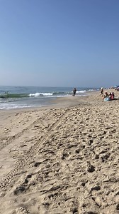 5.3K views · 374 reactions | It’s a beautiful beach day on Chincoteague Island! These summer days will be over before you know it. Visit our website and make your vacation plans! | Chincoteague.com | Facebook