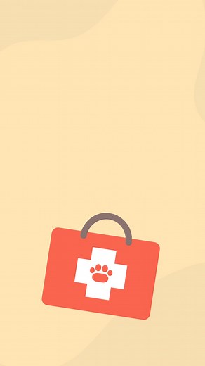 Do you have a pet first aid kit? Would you know what to do in an emergency? 🤔 These are vital questions for any pet owner! Take a look at our video and learn the basics of a well-stocked pet first aid kit 🩹 🐾 And if you find yourself facing an urgent situation, call us as soon as you see it so we can help you get your pet to us safely. | Drove Vets