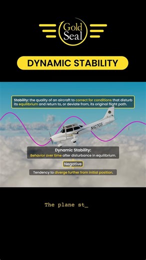Dynamic Stability 🛩️