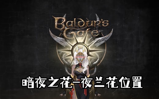 【博德3】特殊2-暗夜之花成就（影心）-夜兰花位置