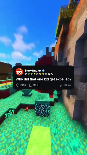 Reasons Behind a School Expulsion: A Reddit Story