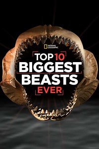 Top 10 Biggest Beasts Ever - Movie