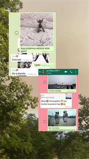 Meme conversaciones con la gente