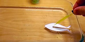 Make a Paper Fish Swim with Surface Tension | STEM Activity