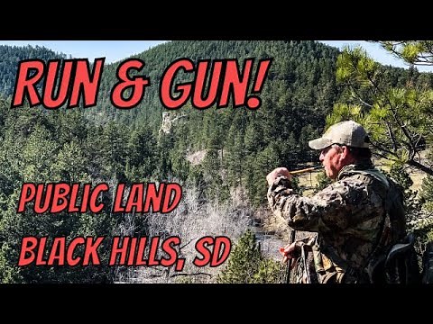 TURKEY HUNTING 2020: BLACK HILLS, SOUTH DAKOTA - DIY Public Land Spring Gobblers PT2!