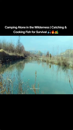 Alone in the deep wilderness, catching fresh fish and cooking it over the fire. A true survival experience surrounded by nature. 🌲🔥 Watch the peaceful moments of camping, fishing, and living off the land. Follow for more bushcraft, survival and camping adventures! 🌿🏕️