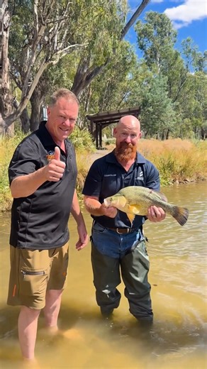 See you tomorrow at Victoria Park Lake for Hooked on Shepparton! 🐟🎉 The lake will be freshly stocked with fish for the competition thanks to the Victorian Fisheries Authority 🙌 Cr Threlfall and Cr Eddy invite everyone to come down and be part of the action! There will be food trucks, kids’ activities, trade stalls, live entertainment, giveaways, and plenty of family fun. 🍔🎈🛍️🎶 If you haven’t registered yet, don’t miss out! Prizes for: 🏷️Tagged Fish | 📏Biggest Catch | 👶Young Angler |❓My