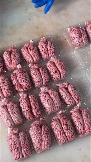 Inside the Process: Pig Brain Extraction at a Slaughterhouse 🧠🐖 👀