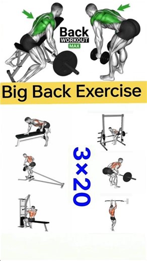 Big Back Exercise #shorts