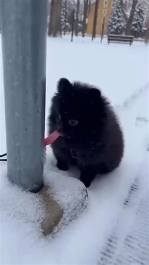 4CH + AI = on Instagram