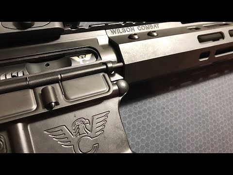 1st Look: Wilson Combat Protector