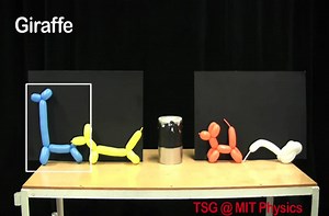 Balloons in liquid nitrogen.