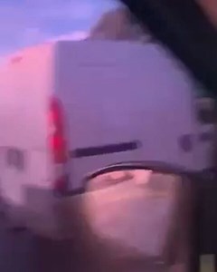 Brandon Vives on Instagram: ""VERDULEROOO" Gritaba Brandon Vives a un hombre que iba conduciendo un humilde automóvil. "Se te escapa el Boliviano" decía. Este es Brandon Vives, el activista que se preocupaba por los pobres animales en el zoológico 😔😔. Creo que ya va quedando claro que a este tipo no le importa nada más que el mismo. Como siempre, lo grabó y lo subió a redes para mufarse de el, probablemente el señor sea un trabajador y no puede costearse un buen auto, pero ya sabemos lo que Br