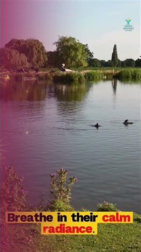 ✨ Star connection ✨