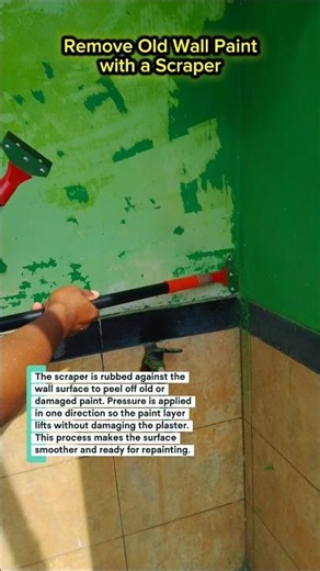 Peeling off the wall paint