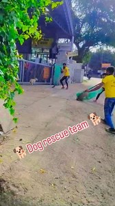 169K views · 1.7K reactions | #dogrescue #animalrescue #rescuedogs #doglovers #adoptdontshop #saveadog #dogadoption #doglife #rescueanimals #pawsitivevibes #fureverhome #instadog #doggolove #furryfriends #dogsofinstagram #dogrescueteam #petrescue #rescuedogsofinstagram #lovedogs #puppyrescue #dogmom #dogdad #animallovers #helpdogs #pawsandclaws #dogshelter #straydogs #pawrescue #rescueismyfavoritebreed #adoptapet | Dog rescue team | Facebook