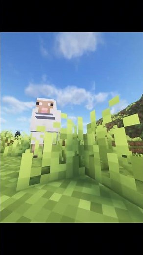 Colourful Sheep In Minecraft
