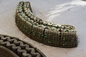 To Grow a Building Uses Local Soil   Roots as Building Materials