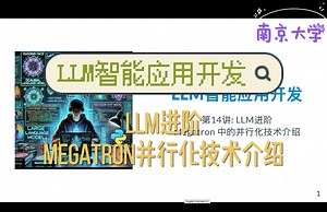 LLM智能应用开发 L14：大语言模型进阶 Megatron并行化技术介绍 [2024南京大学计算机学院选修课]