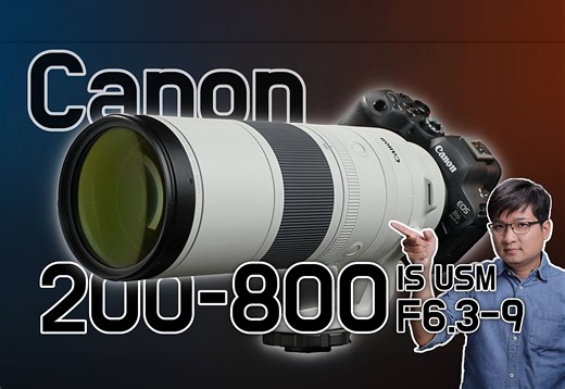 虽然平价，但能拍超远！Canon RF 200-800mm F6.3-9 IS USM 实拍评测！4K UHD【#FurchLab摄影实验室】