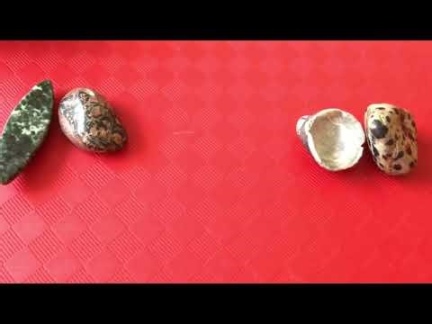 New Moon 🌙 in Libra ♎️ October 21, 2025 Intuitive Gemstone Reading by Cognitive Universe