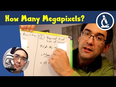 🔬 Microscope Camera: How Many Megapixels Do You Really Need?
