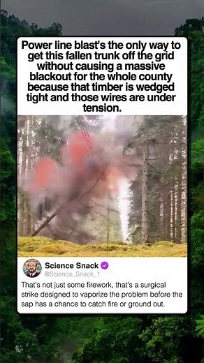 BLASTING TREES OFF POWER LINES
